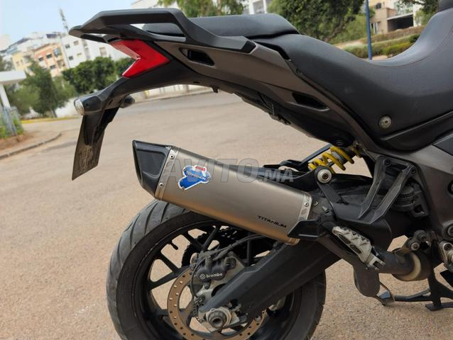 Ducati Multistrada 950 WW Maroc