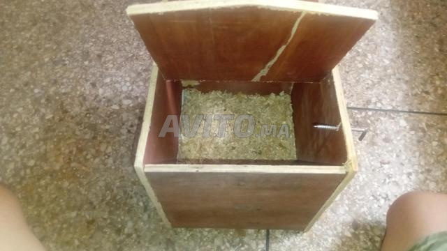 عش للبيع بسعر ثابت بمدينة فاس سيدي بوجيدة - 2