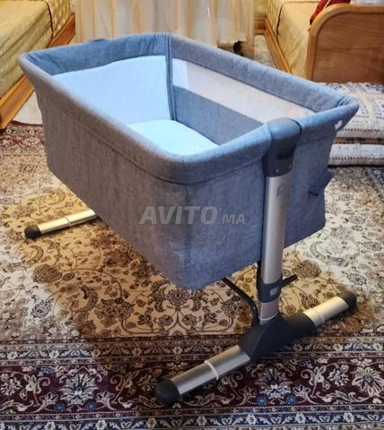 Cododo bébé - 2
