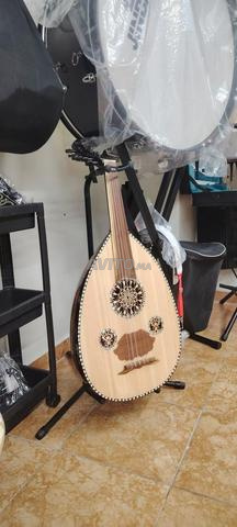 Oud professionnel hotte gamme - 2