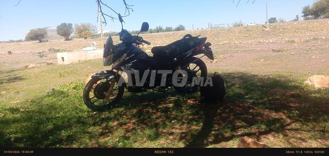 2019motor 46 - 2