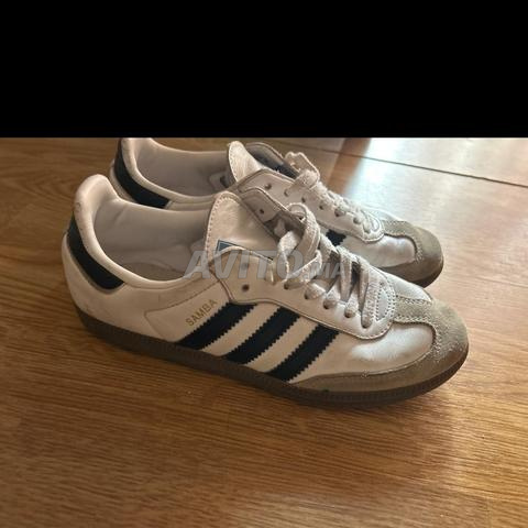 Samba 36/5 - 2