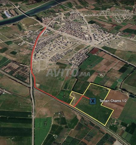 Terrain agricole distinctif d'environ 11,5 hectares