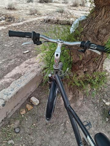 Vélo à vendre marque Bitwin - 2