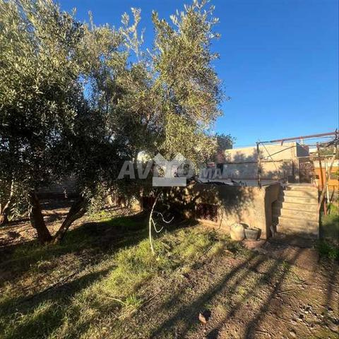 175941-Vente Terrain à Marrakech Route D'Amizmiz -