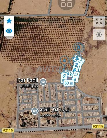 بقعة أرضية 4000 متر مربع بجماعة مربوح - 2