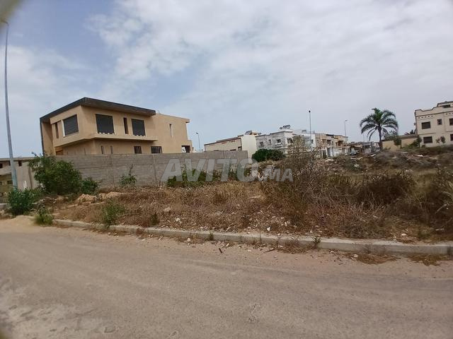 Terrain villa à vendre Sidi Bouzid - 2