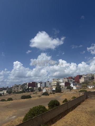 صنية طنجة بالية - 2