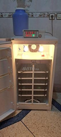 Incubateur d'œufs automatique - 2