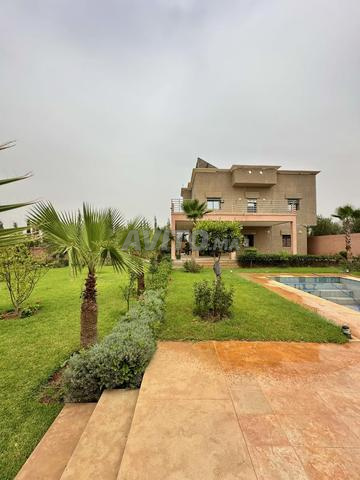 Belle Villa 2000 m² 5 Chambres 75 Oliviers et puit