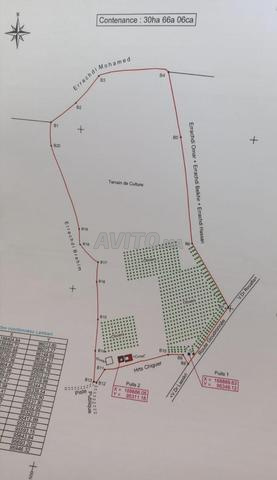 Terrain Agricole 30ha Chichaoua