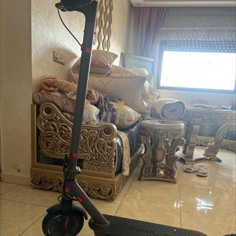 طوطينت كهرباء للبيع - 2