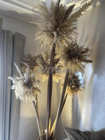 Arbre bananier en fleurs de pampa - 2