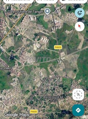 Terrain Badriwan - 2