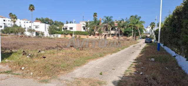 Terrain prêt à construire pour villas - 2