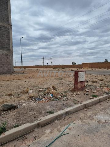 أرض مراكش - 2