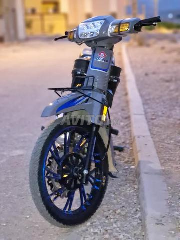 Modèle C50 2025 makena 125cc - 2