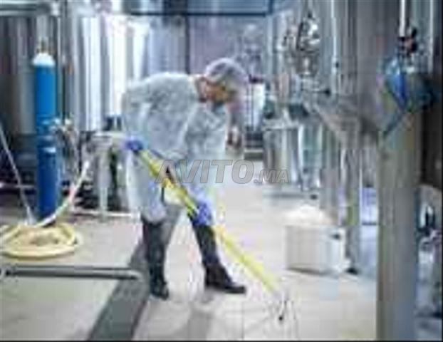 Agent de nettoyage - 2