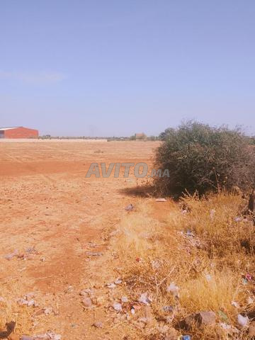 3 hectares sur la route d'Ait Wlal, prix de l'hectare 66 millions - 2