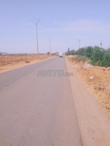 3 hectares sur la route d'Ait Wlal, prix de l'hectare 66 millions