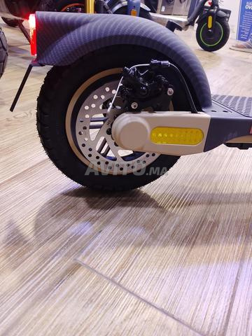 trottinette Linear - 2