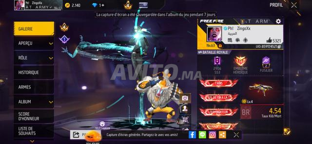 Compte FF incroyable et plein - 2