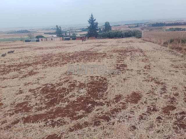 Khemis Ait Ouahi