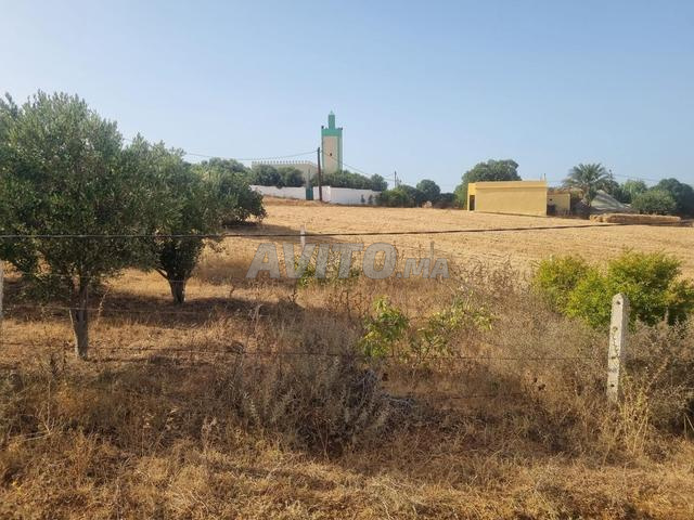 terrain a vendre a briyech  - 2