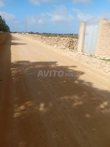 Près de Had Hrara Safi - 2