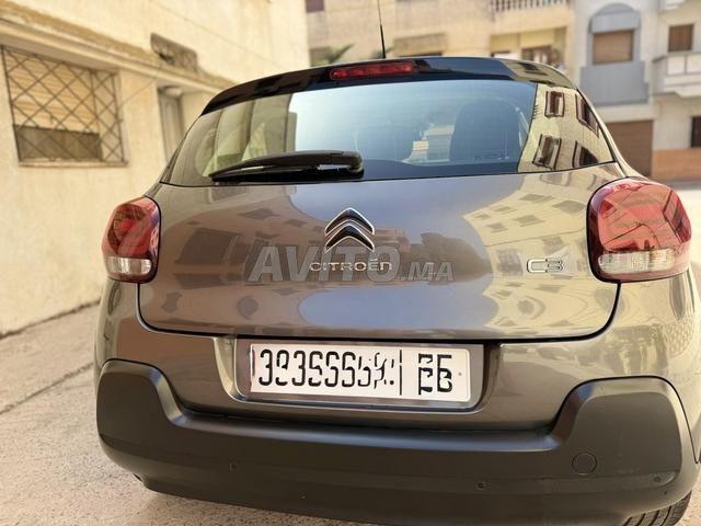 C3 باقة بانتر الأصلية - 2
