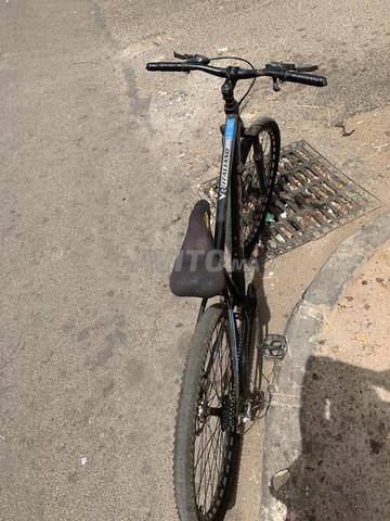 Vélo italyano - 2