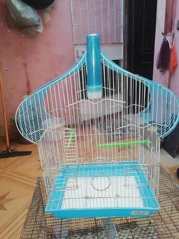 Cages à oiseaux de toutes formes - 2