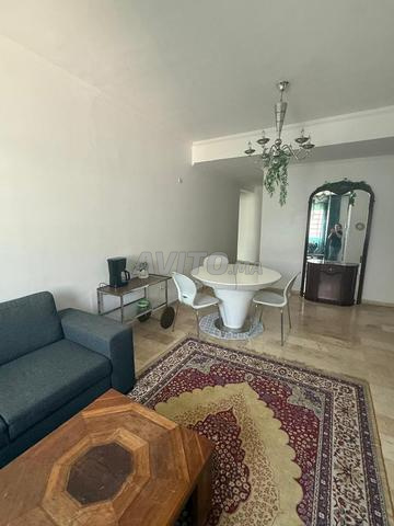 Appartement à louer à Palmier - 2