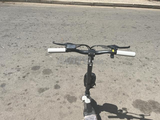 Ismailia - 2