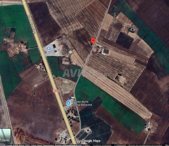 1,1 hectare à l'entrée de Berrechid - 2