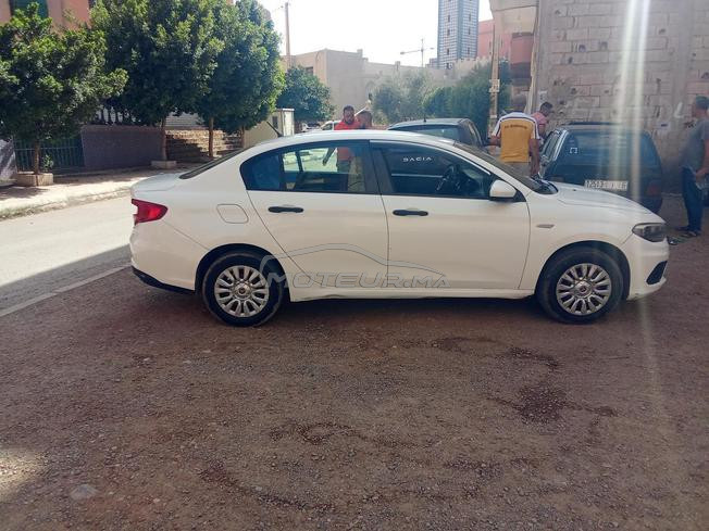 jami aksido 3amra 