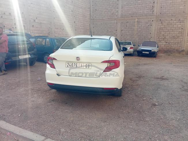 jami aksido 3amra 