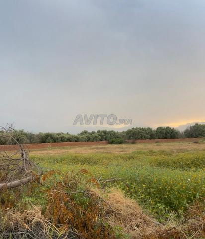 Terrain de 3000m2 en zone villa - 2