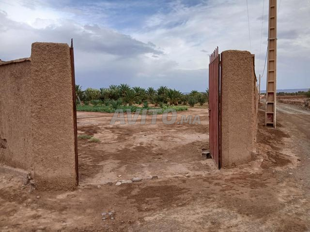 فرصة نادرة في تيلوغي - 2