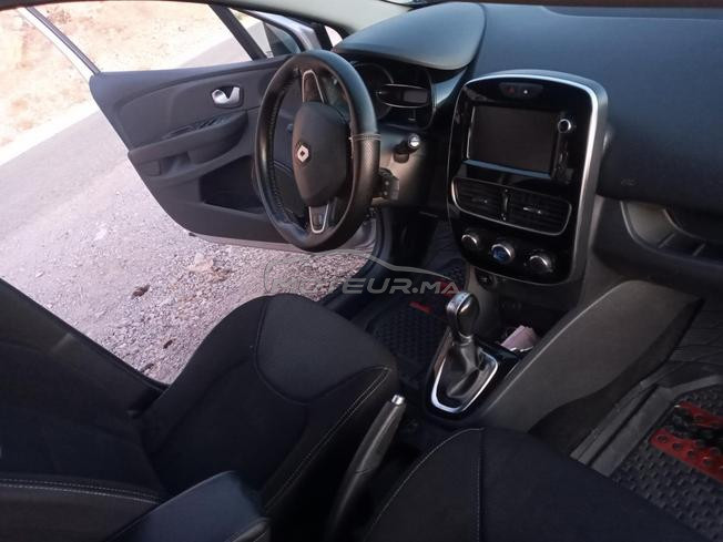 renoutl clio 