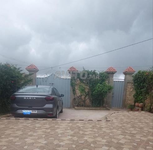 Dacia Logan Diesel Manuelle 2026 à Agadir - 2