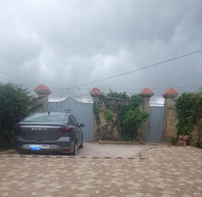Dacia Logan Diesel Manuelle 2026 à Agadir