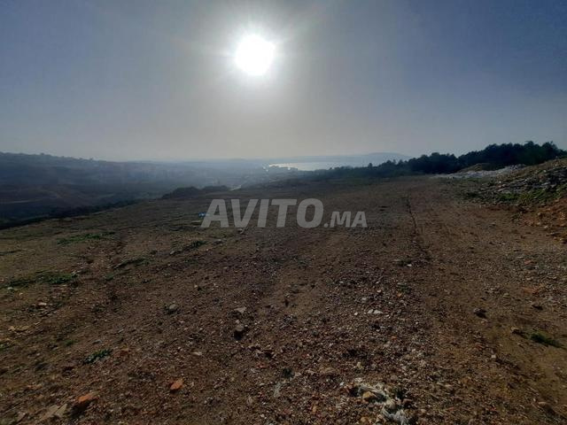 terrain Av pour projet  - 2