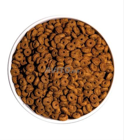 Croquettes Chat Ownat Classic Daily Care 15kg - 2