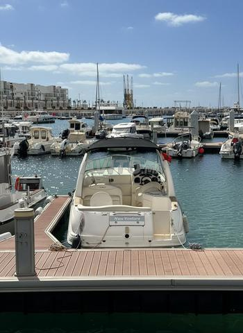 Sea Ray 315 Sundancer 2013 - 2
