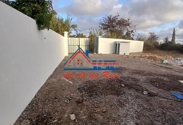 Entrepôt Neuf 264m² – Entre Aïn Atiq et Tamesna - 2