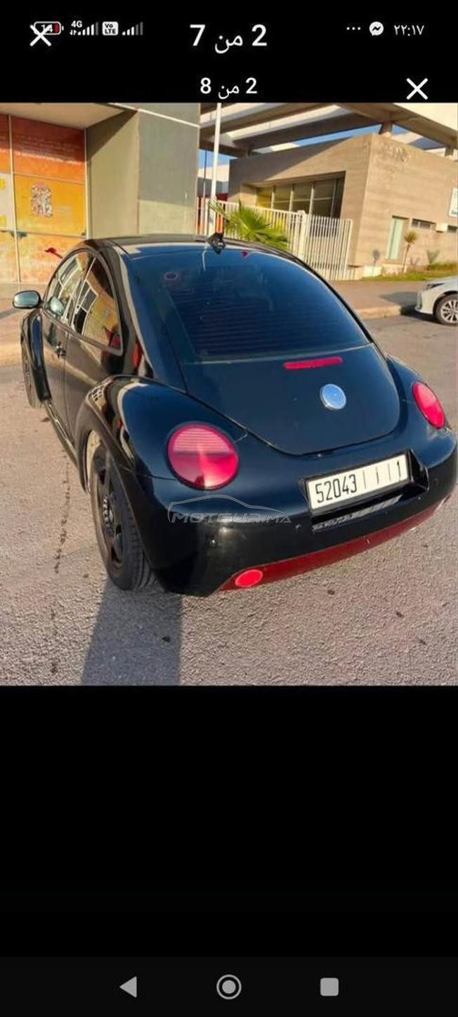روعة كوكسينيل