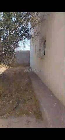 Terrain et maison Ouled Kroum - 2