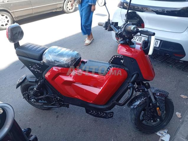 TOURING pRO - 2