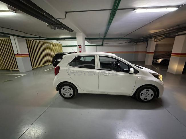 Kia Picanto Essence Automatique 2021 à Casablanca